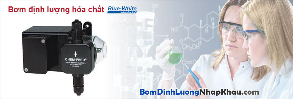 Bơm định lượng hóa chất